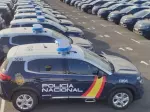 Miniatura 0