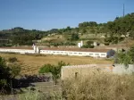 Miniatura 0