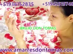 Miniatura 0