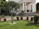 Miniatura 0