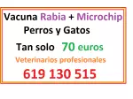 Miniatura 0