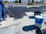 Miniatura 0