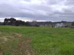 Miniatura 0
