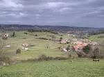Miniatura 1
