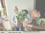 Miniatura 0