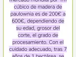 Miniatura 0