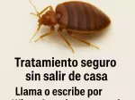 Miniatura 0