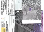 Miniatura 0