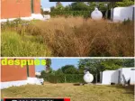 Miniatura 0