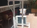 Miniatura 0