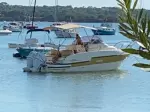 Miniatura 0