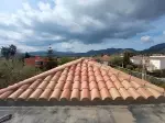 Miniatura 0