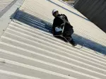 Miniatura 0