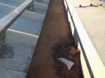Miniatura 0