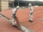 Miniatura 0