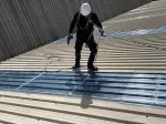 Miniatura 0