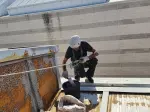 Miniatura 0