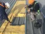 Miniatura 0