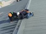 Miniatura 0