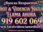 Miniatura 0