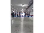 Miniatura 0