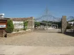 Miniatura 0
