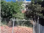 Miniatura 0