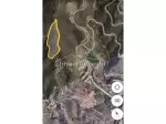 Miniatura 0