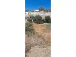 Miniatura 0