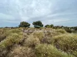 Miniatura 0