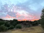 Miniatura 0