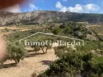Miniatura 0