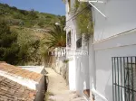Miniatura 0