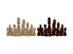 Miniatura 0