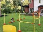 Miniatura 0