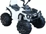 Miniatura 10