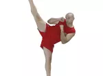Miniatura 0