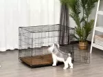 Miniatura 0
