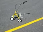 Miniatura 10