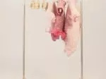 Miniatura 0