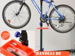 Miniatura 11
