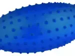 Miniatura 0