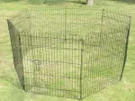 Miniatura 0