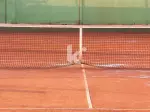 Miniatura 0