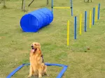 Miniatura 0