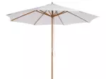 Miniatura 10