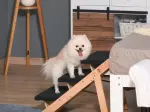 Miniatura 0