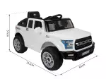 Miniatura 10