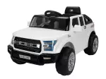 Miniatura 11