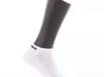 Miniatura 0